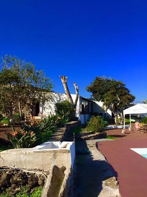 Dragos Del Mar , Espacio Natural La Orotava 0*,  Espagne