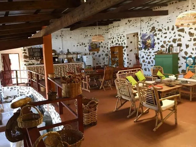 Dragos Del Mar , Espacio Natural La Orotava Espagne