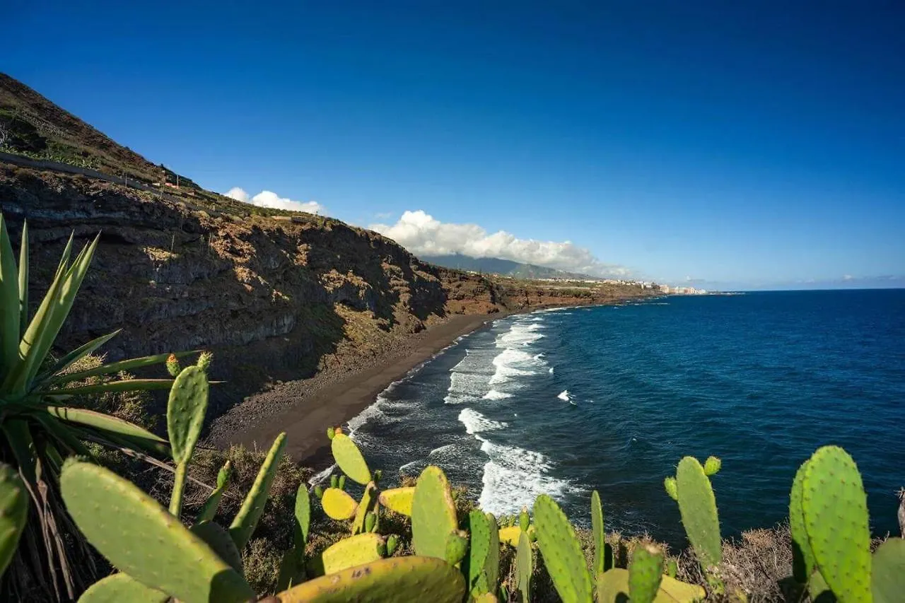 Dragos Del Mar , Espacio Natural La Orotava Espagne